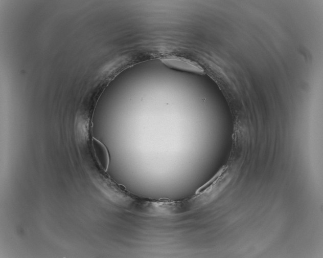 X0000111130188200906301217