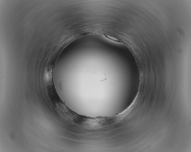 X0000111130190200906301217