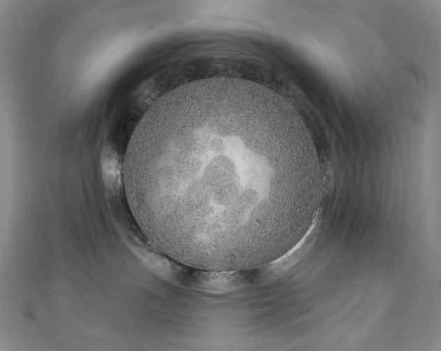 X0000111130191200906301217