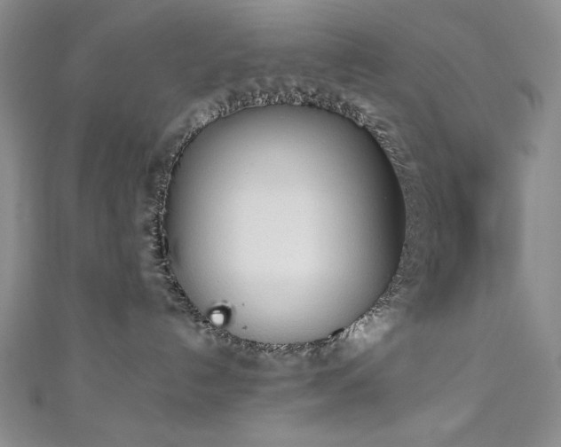 X0000111130192200906301217