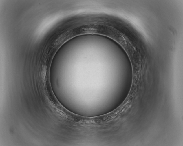 X0000111130194200906301217