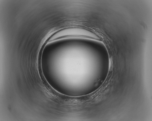 X0000111130195200906301217