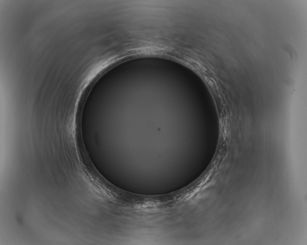 X0000111130196200906301217
