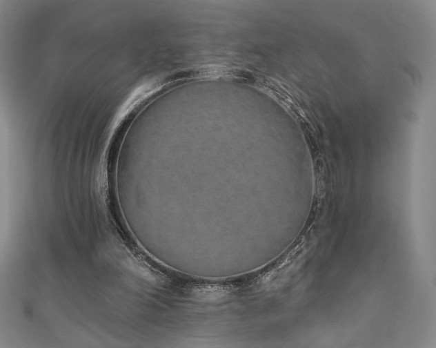 X0000111130198200906301217