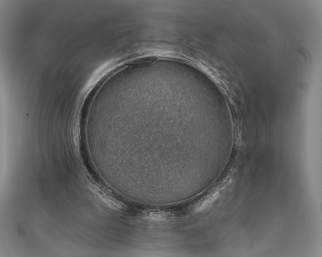 X0000111130199200906301217