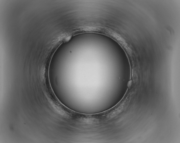 X0000111130201200906301217