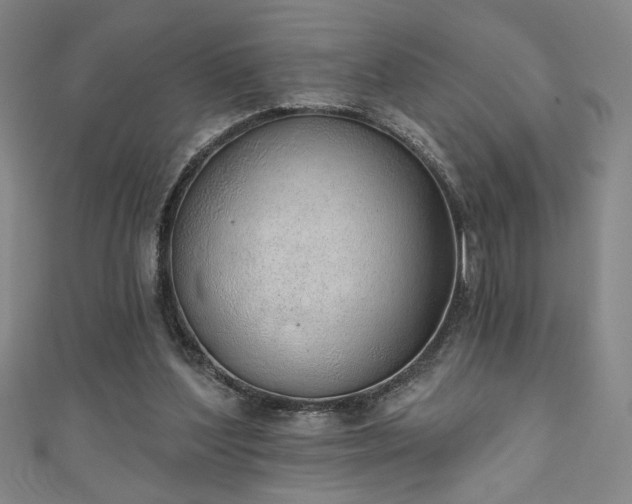 X0000111130204200906301217
