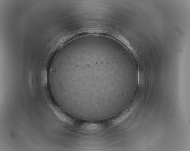 X0000111130205200906301217