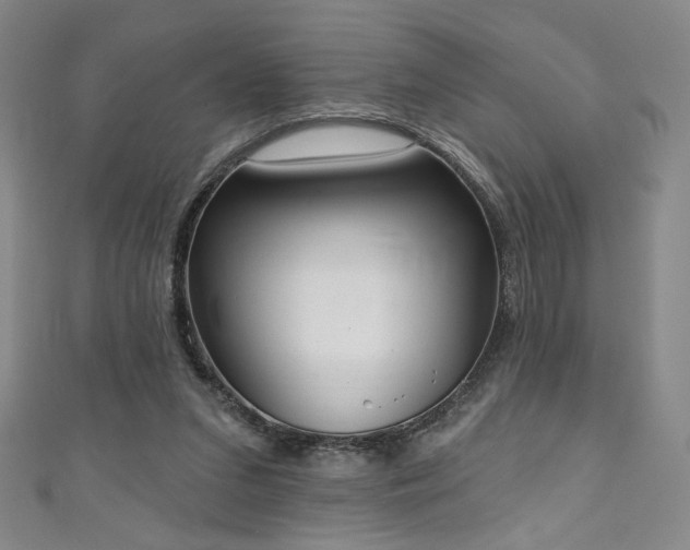 X0000111130207200906301217