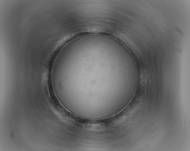 X0000111130208200906301217