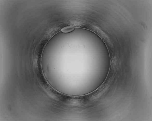X0000111130209200906301217