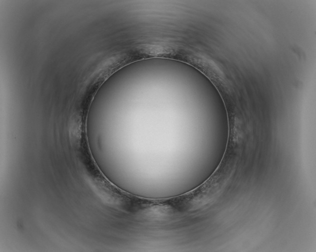 X0000111130210200906301217