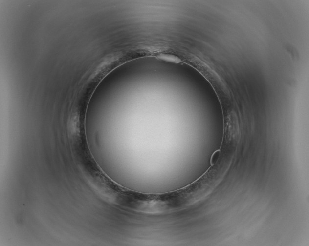 X0000111130212200906301217