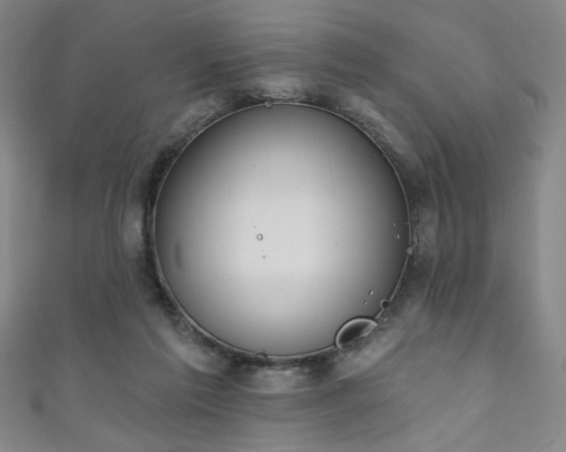 X0000111130213200906301217