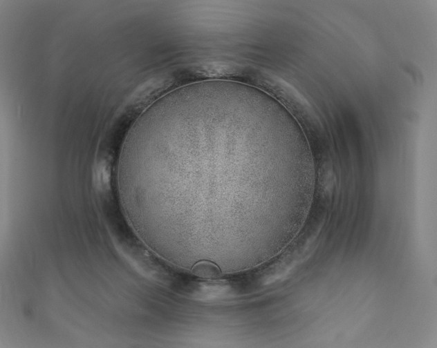 X0000111130214200906301217
