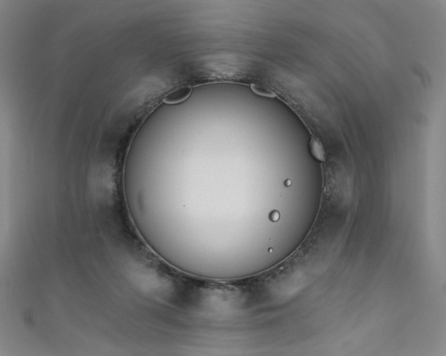 X0000111130215200906301217