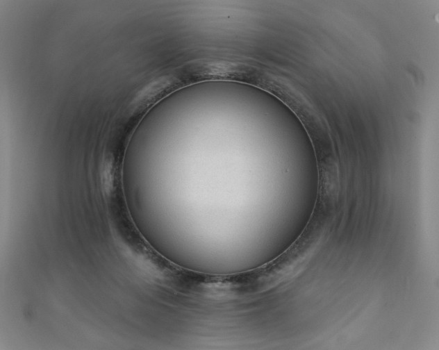 X0000111130216200906301217