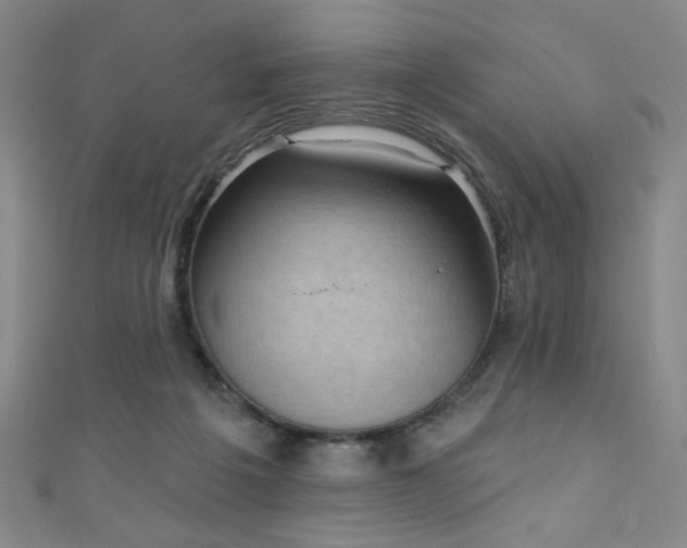 X0000111130217200906301217