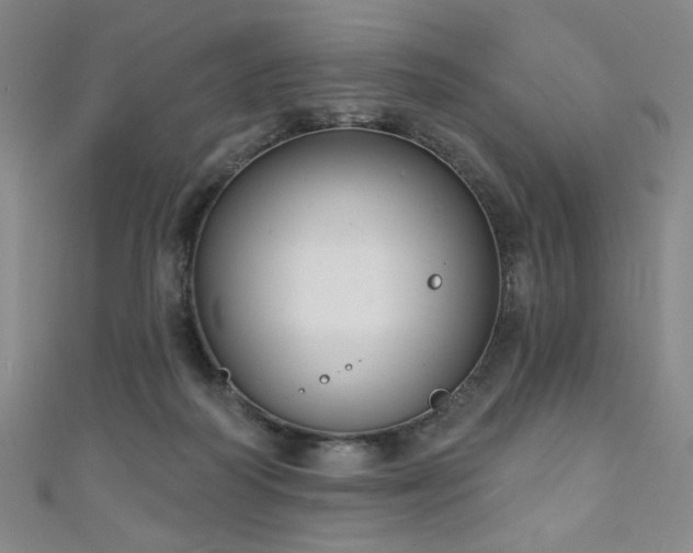 X0000111130218200906301217