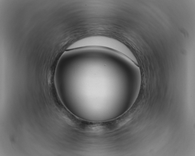 X0000111130219200906301217