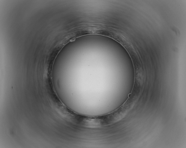 X0000111130221200906301217
