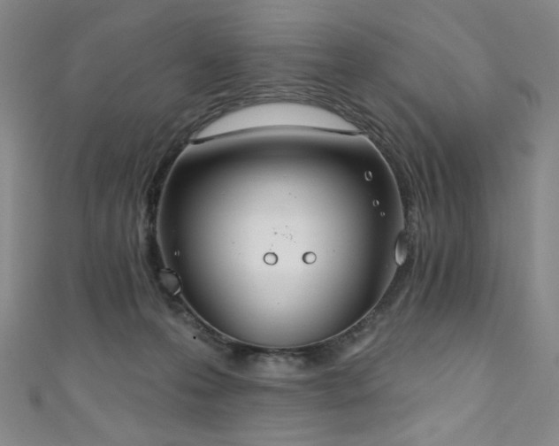 X0000111130223200906301216