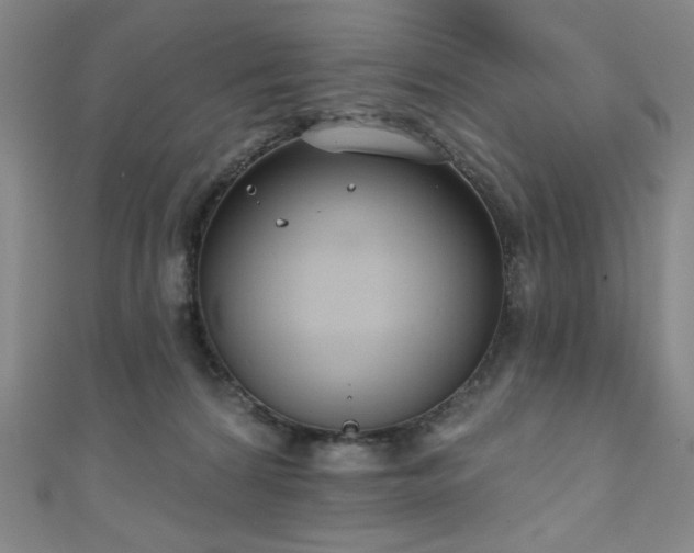 X0000111130224200906301216