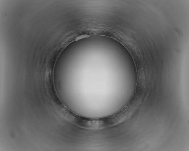 X0000111130225200906301216