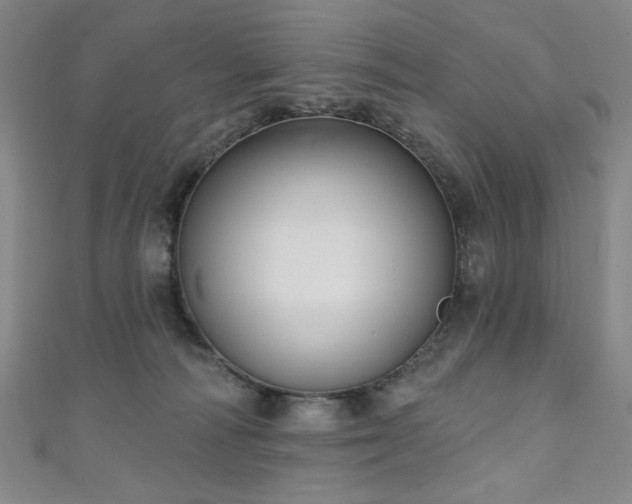 X0000111130226200906301216