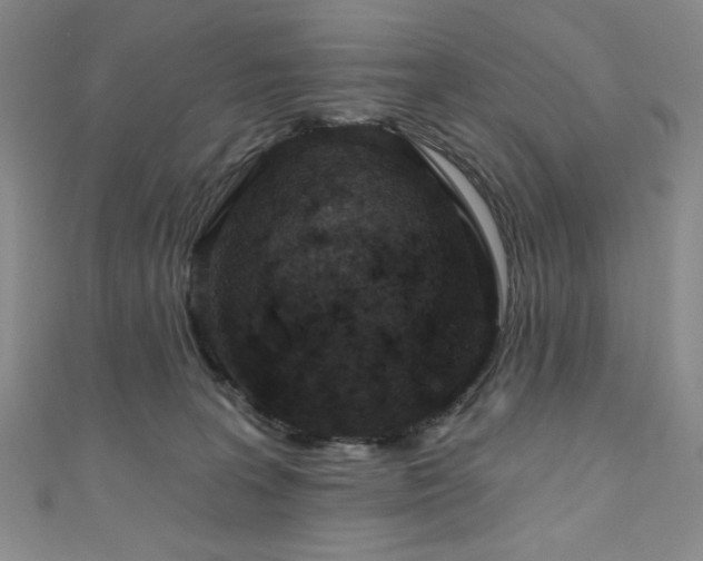 X0000111130227200906301216