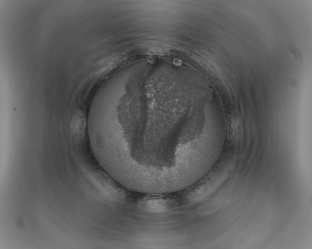 X0000111130228200906301216