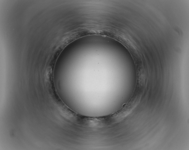 X0000111130229200906301216