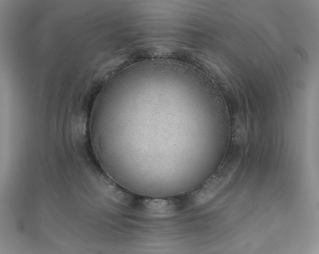 X0000111130230200906301216