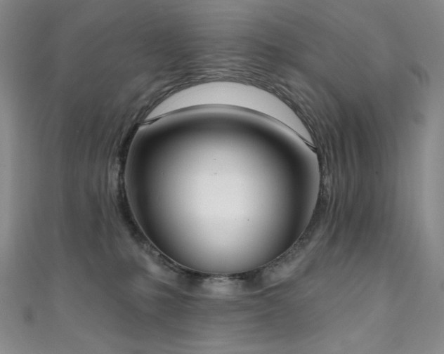 X0000111130231200906301216