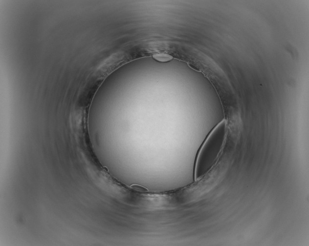 X0000111130233200906301216