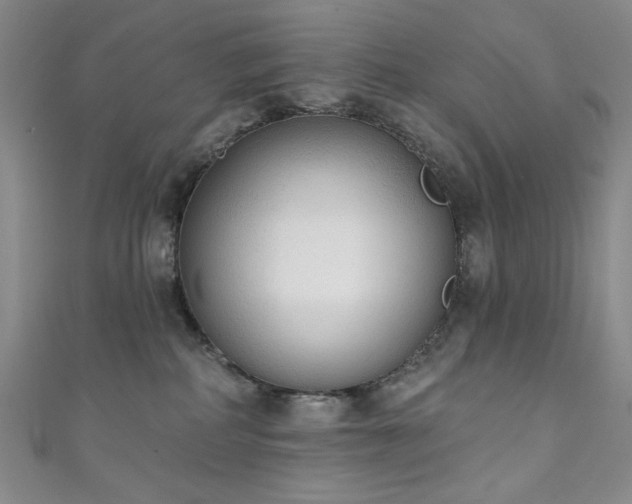 X0000111130234200906301216
