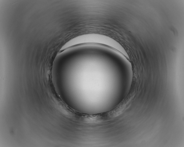 X0000111130235200906301216