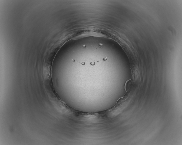X0000111130236200906301216