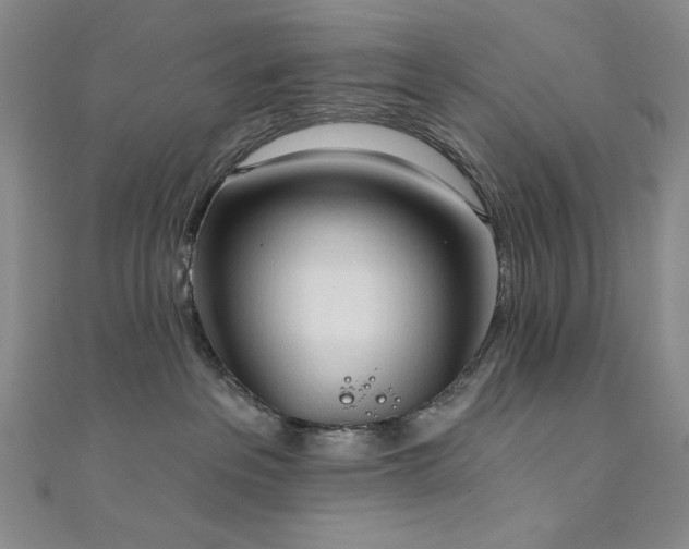 X0000111130237200906301216