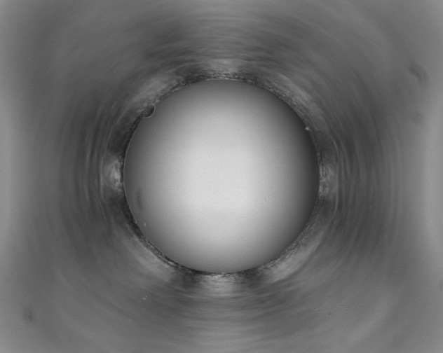X0000111130238200906301216