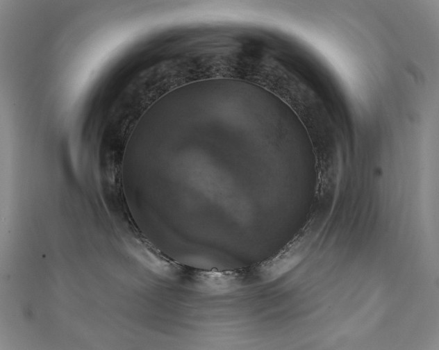 X0000111130239200906301216