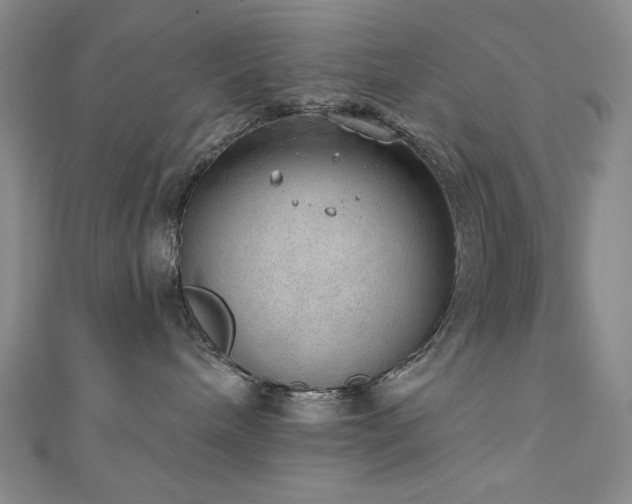 X0000111130240200906301216