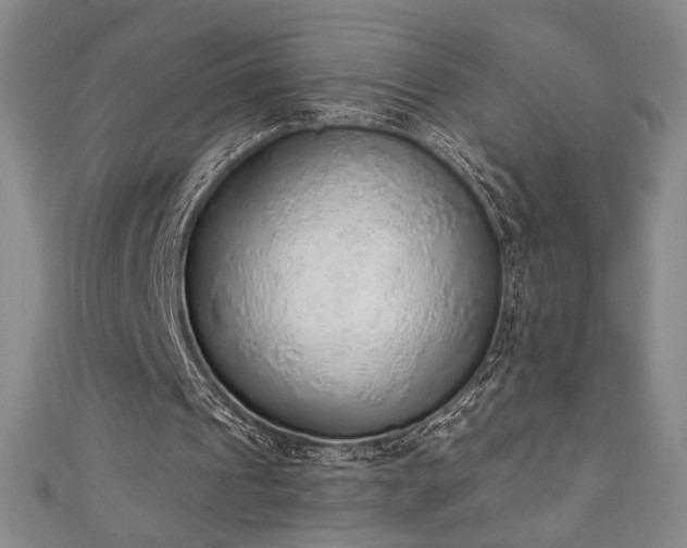 X0000111130241200906301216