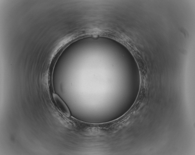 X0000111130244200906301216
