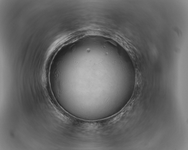 X0000111130245200906301216