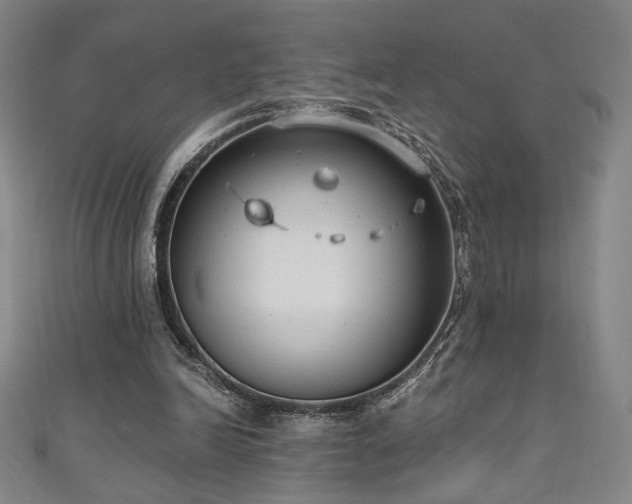 X0000111130246200906301216