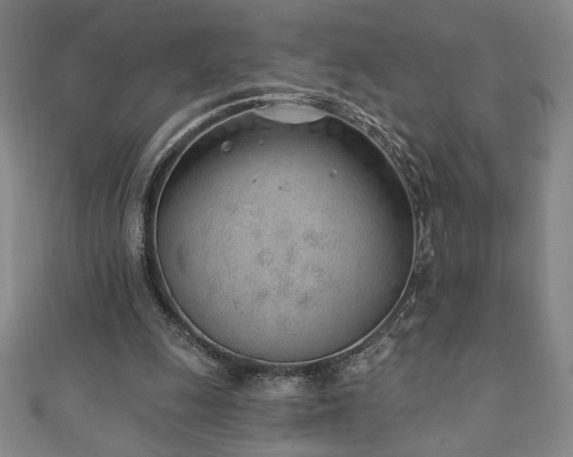 X0000111130247200906301216
