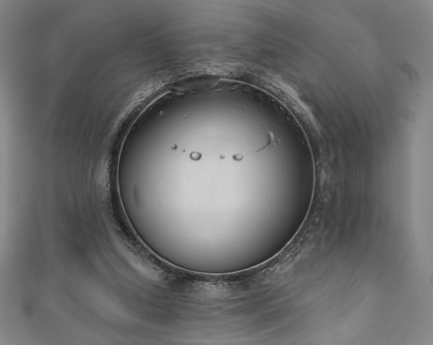 X0000111130250200906301216