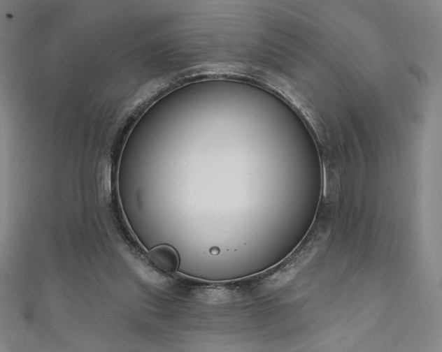 X0000111130253200906301216