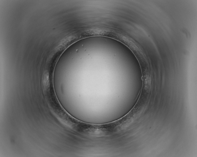 X0000111130254200906301216